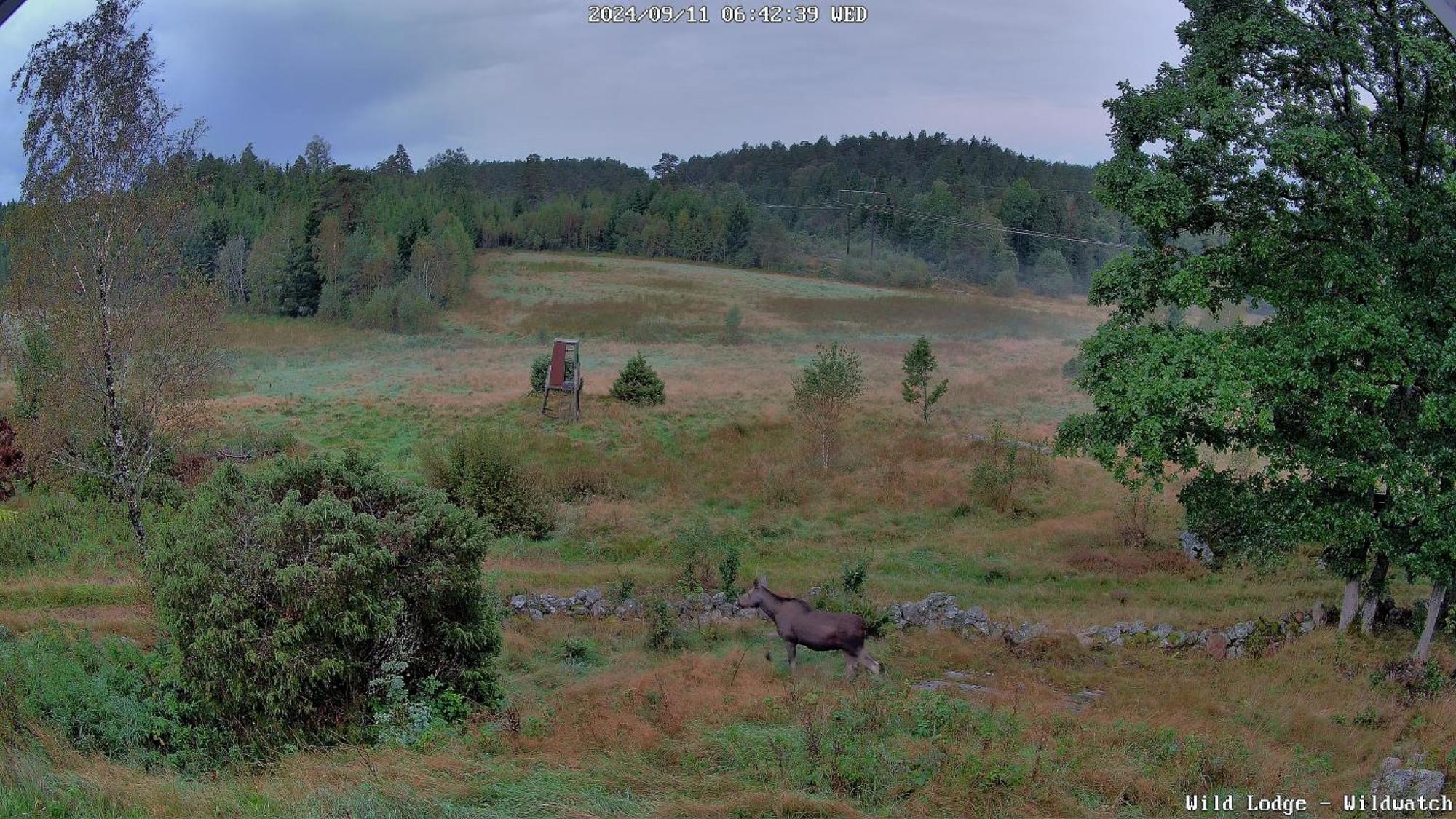 Wild Lodge Nol Luaran gambar