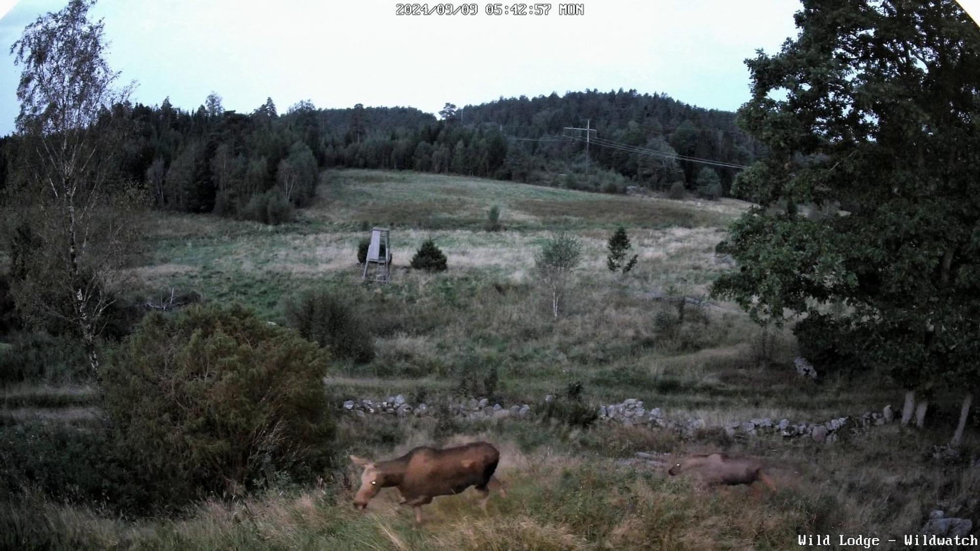 Wild Lodge Nol Luaran gambar